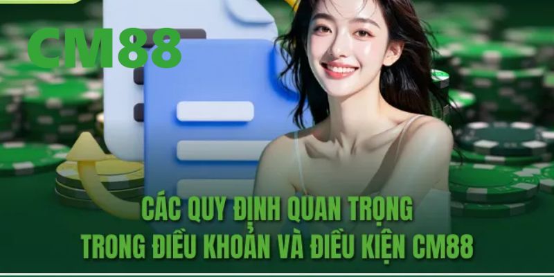 Những điều khoản và điều kiện mà người chơi cần hiểu rõ khi tham gia